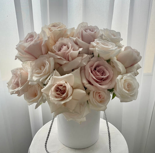 Blush Beauty